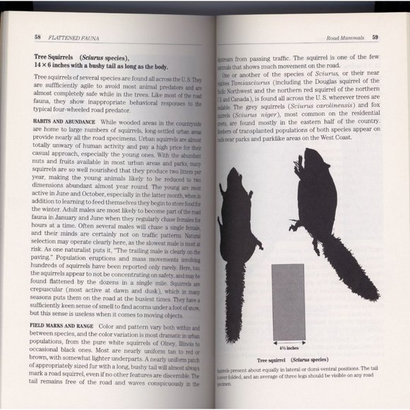 FLATTENED FAUNA Field Guide to Common Animals of Roads, Streets & Highways, SC - Picture 3 of 3